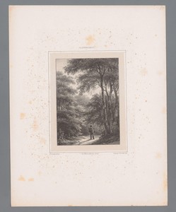 Wandelaar in een bos