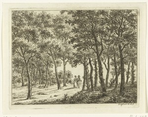 Wandelend stel in het bos