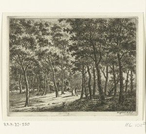 Wandelend stel in het bos