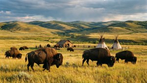 Wanuskewin Bison Plains