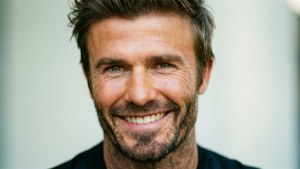 Warm Smile Portrait
