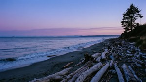 Washington Coast Sunset