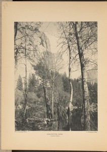 [Washington Column, Yosemite Valley]
