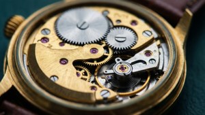 Watch Movement Macro