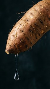 Water Drop on Yam