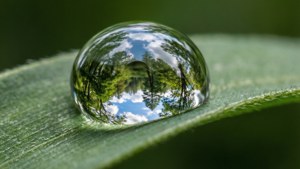 Water Droplet Reflecting