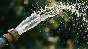 Water Droplets Hose