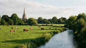 Water Meadows Summer