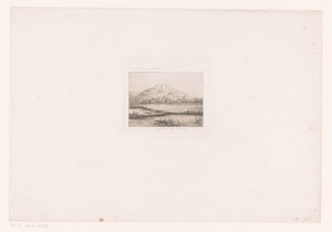 Water met visser en twee zwanen