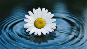 Water Reflection