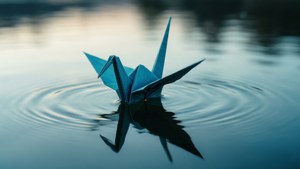 Water Ripples