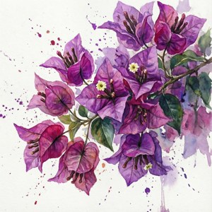 Watercolor Bougainvillea Burst