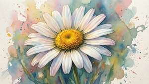 Watercolor Daisy Art
