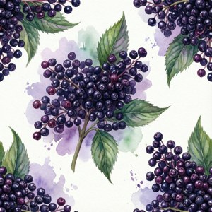 Watercolor Elderberry Pattern