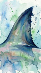 Watercolor Fin