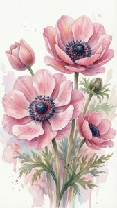 Watercolor Pink Anemones