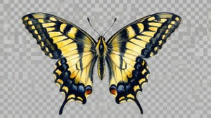 Watercolor Swallowtail
