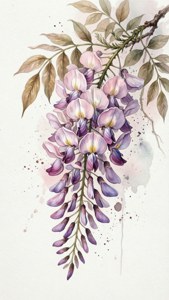 Watercolor Wisteria