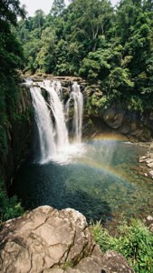 Waterfall Forest Pool