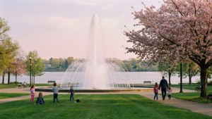 Waterfront Park Bliss