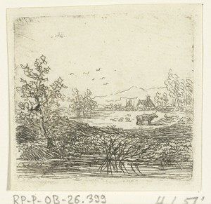 Waterlandschap met koe