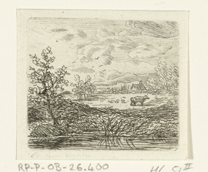 Waterlandschap met koe