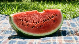 Watermelon Picnic Bliss