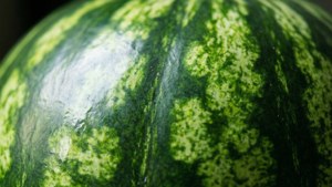 Watermelon Rind Pattern