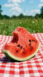 Watermelon Snack Slice
