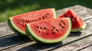 Watermelon Summer Slices