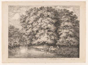 Watermolen bij een grote eik