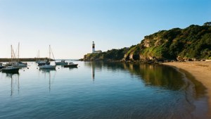 Watsons Bay Serenity