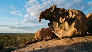 Wave Rock Wonder