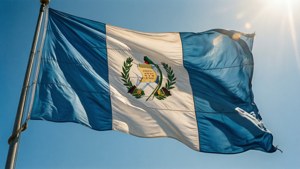 Waving Flag Blue Sky