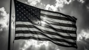Waving Flag Monochrome