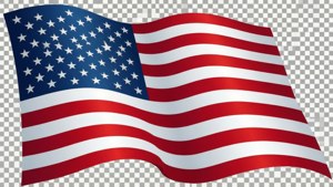 Waving Flag Vector