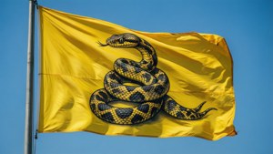 Waving Gadsden Flag