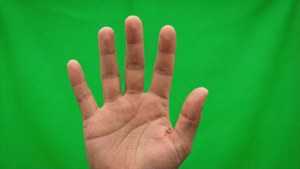 Waving Hand Green Screen