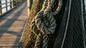 Weathered Knots Close-Up