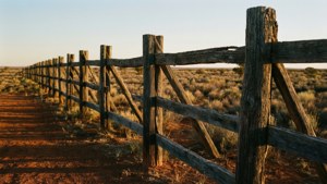Weathered Outback Fence