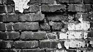 Weathered Whitewash