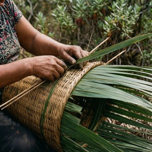 Weaving Traditions