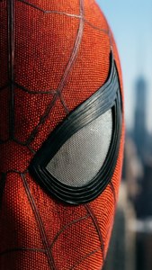 Web Detail