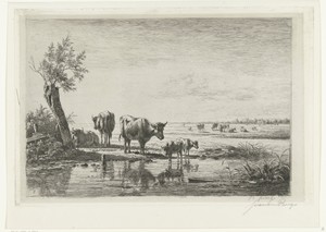 Weidelandschap met koeien bij water