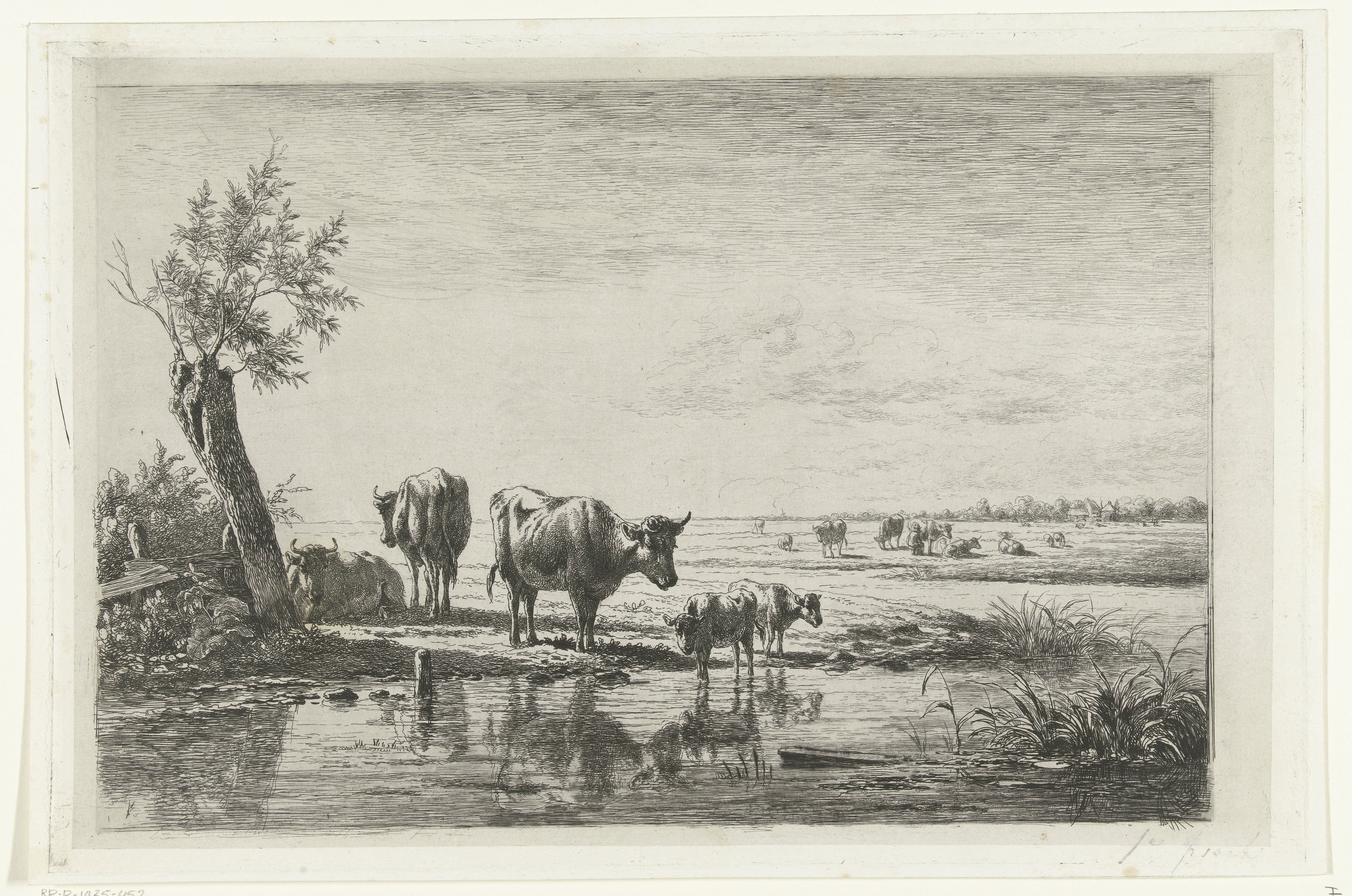 Weidelandschap met koeien bij water by Simon van den Berg