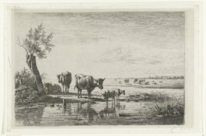 Weidelandschap met koeien bij water