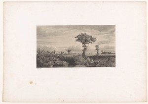 Weidelandschap met visser
