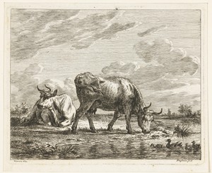 Weiland met twee koeien bij een sloot met eenden
