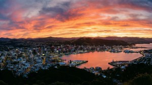 Wellington Sunset Panorama