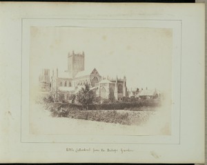 Wells Cathedral from the Bishop's Garden